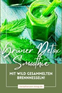 Frische Brennnessel verwenden: Rezepte, Sammelhinweise & Anwendung detox grüner smoothie
