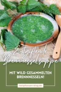 Frische Brennnessel verwenden: Rezepte, Sammelhinweise & Anwendung vorlage pinterest 100 virale pins verkauf (1)