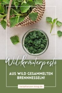 Frische Brennnessel verwenden: Rezepte, Sammelhinweise & Anwendung vorlage pinterest 100 virale pins verkauf (2)