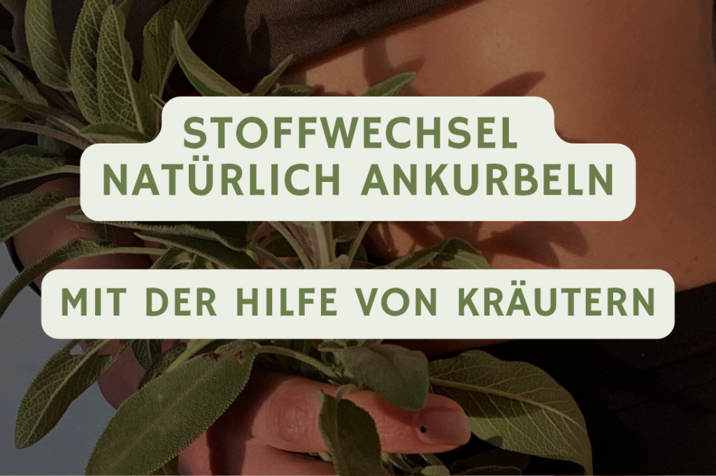 blog banner