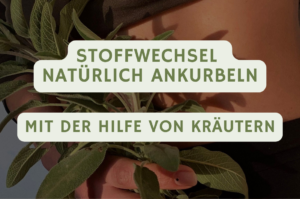 blog banner