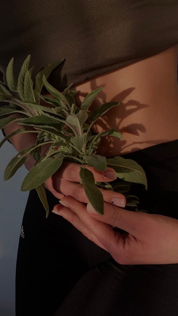 pexels pexels user 214375321 11812115