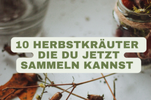blog banner 20260923 143415 0000