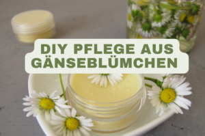 blog banner 20260923 145750 0000