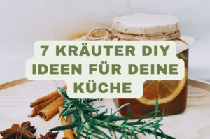 blog banner 20260930 183341 0000
