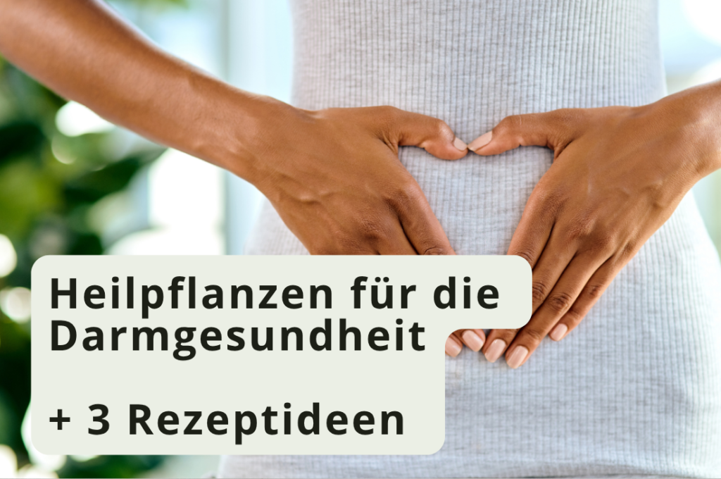 darmgesundheit