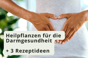 darmgesundheit
