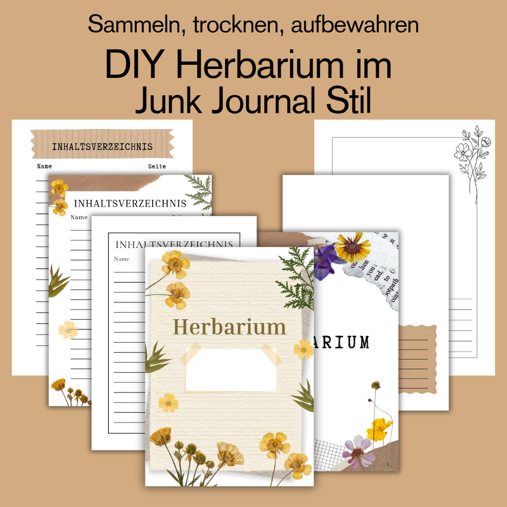 herbarium junk etsy fotos 20260913 133810 0001