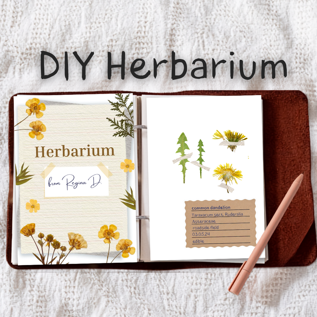 herbarium junk etsy fotos 20260913 133811 0009