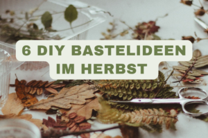 blog banner 20261001 124925 0000