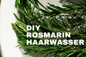 blog banner 20261011 130635 0000