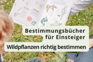blog banner 20261013 150003 0000